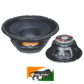 Real Audio RE-12/300