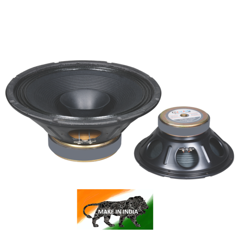 Real Audio RAS-200 12inch