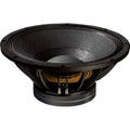 Dynamite DM21, 21-Inch 2000 Watt Sub Woofer