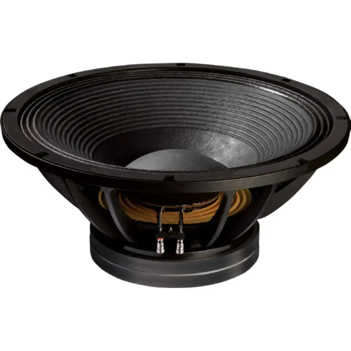 Dynamite DM21, 21-Inch 2000 Watt Sub Woofer