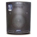 NX Audio PX112 (2-Way Loudspeaker, 250W RMS)