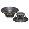 Nutron+ NP-21AZ601 (21inch 1800 Watt Speaker)