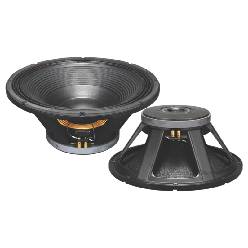 Nutron+ NP-21AZ601 (21inch 1800 Watt Speaker)
