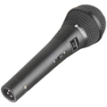 Real Audio SV-200